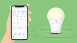 WiZ 8W Colour Changing Dimmable LED Smart WiFi/Bluetooth GLS Bulb - Bayonet Cap -Home Lighting Store 1033890034 640 2