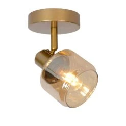 Lucide Bjorn Ceiling Spotlight - Matt Gold