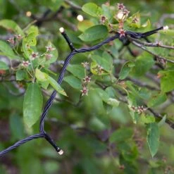 Garden 24V Warm White LED String Lights - 80 Lights -Home Lighting Store 400334 13