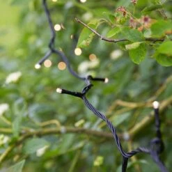 Garden 24V Warm White LED String Lights - 80 Lights -Home Lighting Store 400334 14