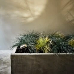 Astro Coastal Skye LED Garden Spotlight - Brushed Stainless Steel -Home Lighting Store 43324 013