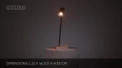 Lucide Hester Desk Lamp - Anthracite -Home Lighting Store 919337159 971f28af24cfe4b57754669027b1f28ea84d6e374c56faa396e33a3aedbe9169 d 640