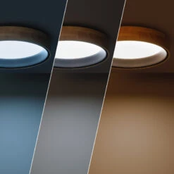 Edit Dari Round 20W Colour LED Flush Ceiling Light - Wood & Black 7 Edit Dari Round 20W Colour LED Flush Ceiling Light - Wood & Black -Home Lighting Store E1451 55