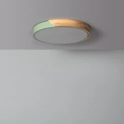 Edit Dari Round 24W White Selectable LED Flush Ceiling Light - Green & Wood