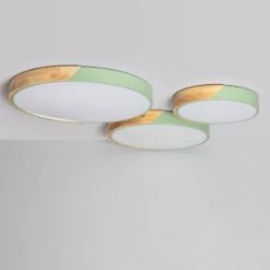 Edit Dari Round 24W White Selectable LED Flush Ceiling Light - Green & Wood -Home Lighting Store E1519 10