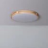 Edit 20W Flush LED Ceiling Light - Wood