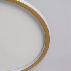 Edit Allharo 30W Round CCT Selectable LED Flush Ceiling Light - White -Home Lighting Store E3156 14