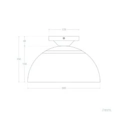 Edit Demeter Flush Ceiling Light - Black -Home Lighting Store E3224 16